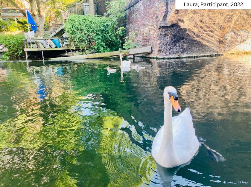 Serene swans in canal at From Lens to Self workshop. Laura's 2022 photo embodies tranquility in Gianpietro Pucciariello's London coaching. Photography as tool for self-reflection and personal growth in unique outdoor sessions.