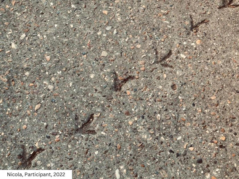 Gianpietro Pucciariello